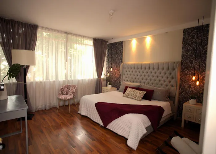 Habitacion Morada Luna Condesa 6